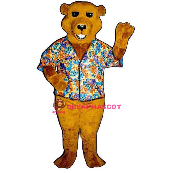 Barry Bear Lightweight Mascot Costume