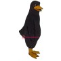 Blackbird Lightweight Mascot Costume