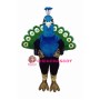 Peacock Lightweight Mascot Costume