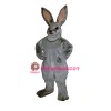 Jack Rabbit Lightweight Mascot Costume