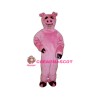 Childs Pig Lightweight Mascot Costume