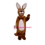 Childs Kangaroo Lightweight Mascot Costume