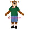 Hank Lightweight Mascot Costume
