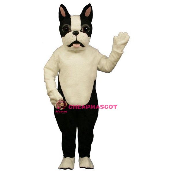 Terri B.Terrier Lightweight Mascot Costume