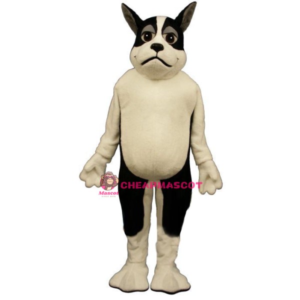 Harrington Lightweight Mascot Costume