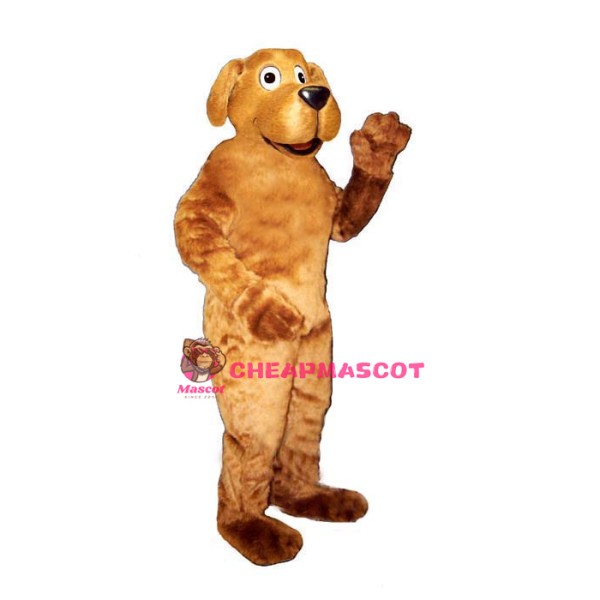 Danny Dog Lightweight Mascot Costume