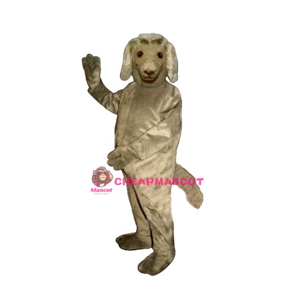 Afghan Lightweight Mascot Costume