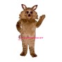 Wild Coyote Lightweight Mascot Costume