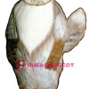 Wolf Lightweight Mascot Costume