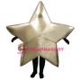 Star Lightweight Mascot Costume