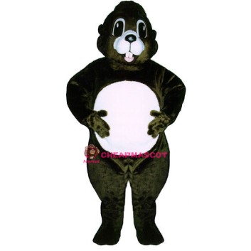 Happy Groundhog Lightweight Mascot Costume