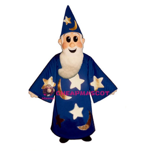 Wizard Lightweight Mascot Costume