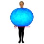 Venus Lightweight Mascot Costume