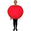 Mars Lightweight Mascot Costume