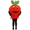 Big Apple Lightweight Mascot Costume
