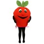 Big Apple Lightweight Mascot Costume