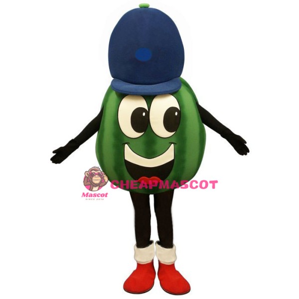 Madcap Watermelon Lightweight Mascot Costume