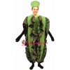 Red Leaf Lettuce Lightweight Mascot Costume