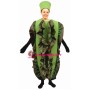 Red Leaf Lettuce Lightweight Mascot Costume