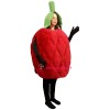 Raspberry Lightweight Mascot Costume