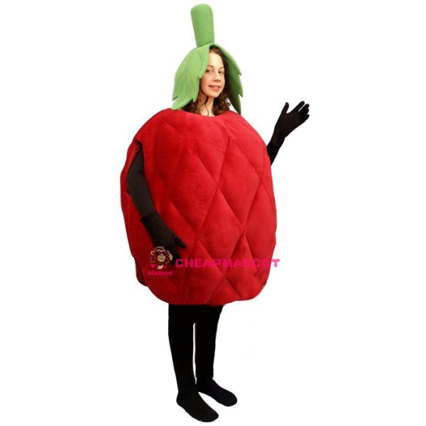 Raspberry Lightweight Mascot Costume