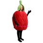 Raspberry Lightweight Mascot Costume