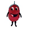 Raspberry Lightweight Mascot Costume