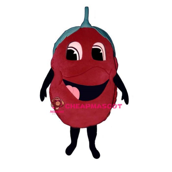 Raspberry Lightweight Mascot Costume