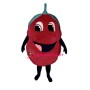 Raspberry Lightweight Mascot Costume