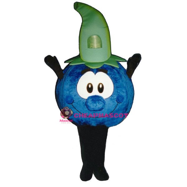 Bobby Blueberry Lightweight Mascot Costume