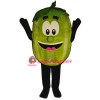 Wally Watermellon Lightweight Mascot Costume