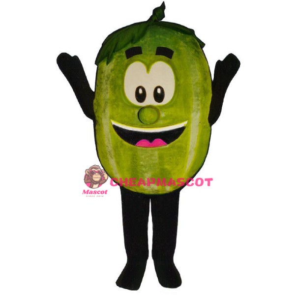 Wally Watermellon Lightweight Mascot Costume