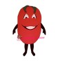 Big Tomato Lightweight Mascot Costume