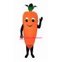 Carrot Lightweight Mascot Costume