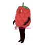 Fresh Raspberry Lightweight Mascot Costume