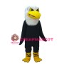 Basic Cartoon Black Eagle Mascot Costume