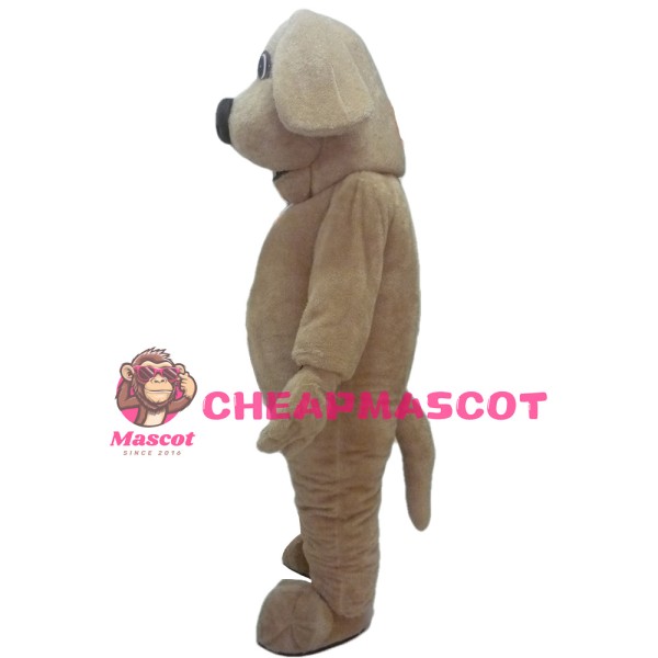 Smart Khaki Dog Mascot Costume For School Celebrations