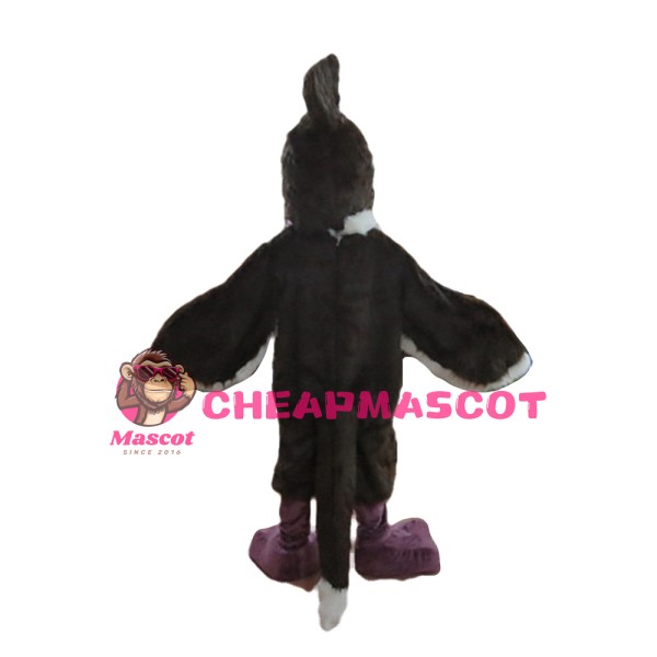 Birthday Party Cartoon Black & White Bird Mascot Costume