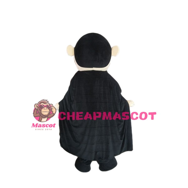 Evil Old Witch With Cloak Mascot Costume