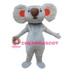 Direct Sale Adult Cute Koala Mascot Costume