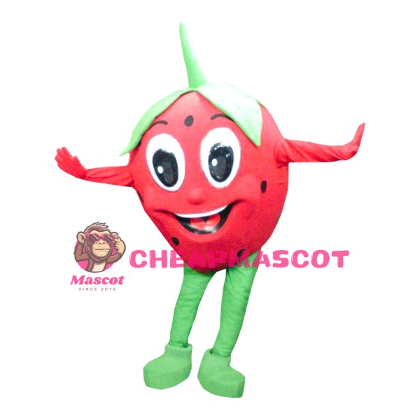 Lovely Big Eyes Strawberry Baby Mascot Costume