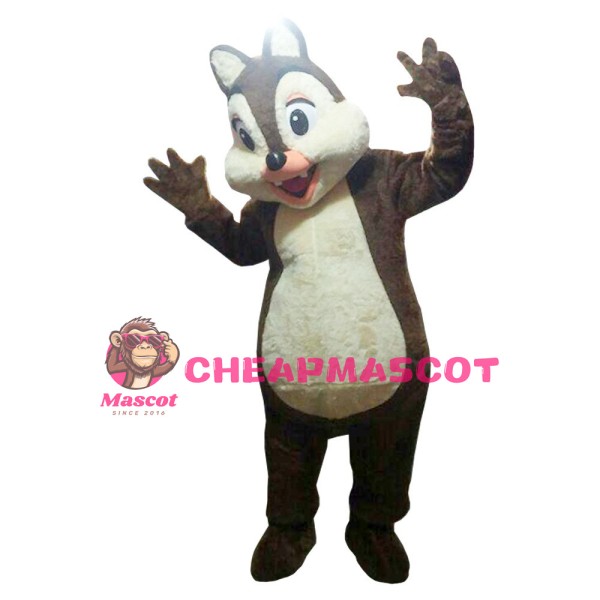 Cute Squirrel Mascot Costume