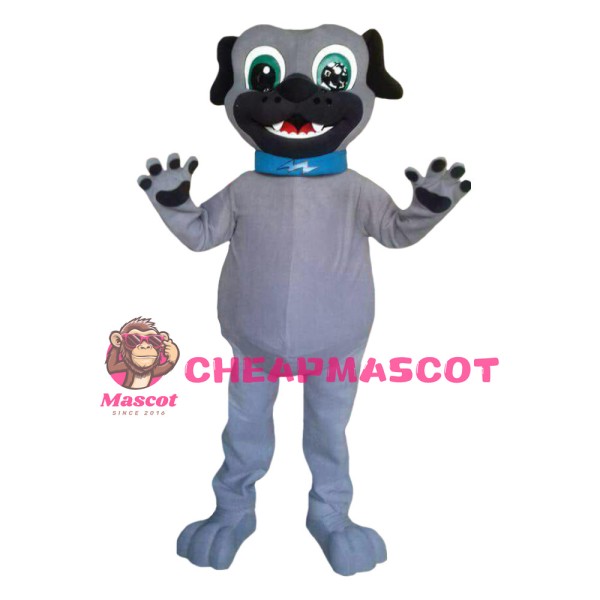 Clever Grey Dog Wearing Collar Mascot Costume