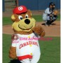 Bob Brown Bear Mascot Costume