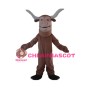 Happy Brown Texas Longhorn Mascot Adult Costume