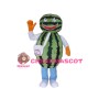 Watermelon Man Mascot Costume 