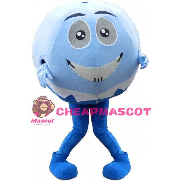 Blue Ball Cartoon Mascot Adult Costume