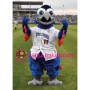 Affable American BoulderBird Mascot Costume 
