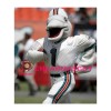 T.D. the Dolphin Mascot Adult Costume 