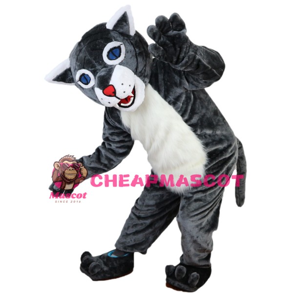 Blue Eyes Wolf With Furry Belly Mascot Costume